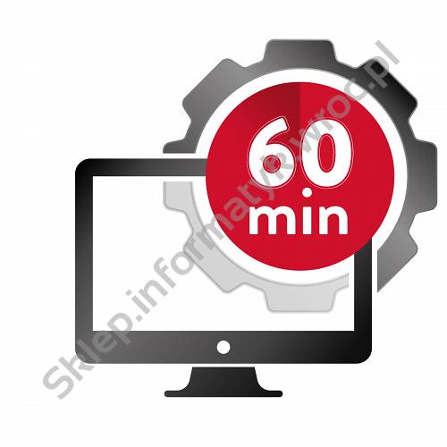 Usługa informatyczna 60min